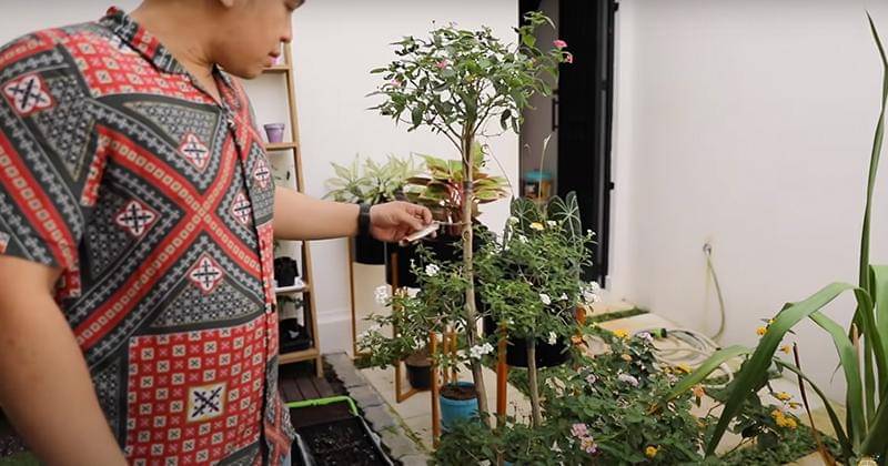 Youtube.com/Yuki Kato