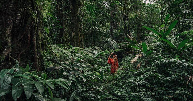 Pexels/Mikhail Nilov