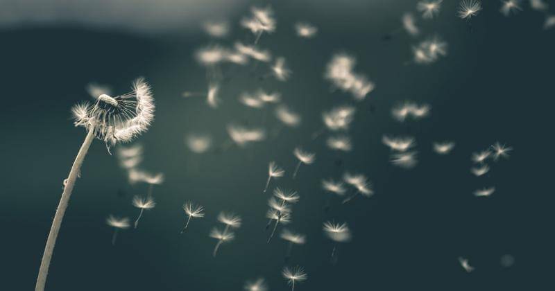 Unsplash/Saad Chaudhry