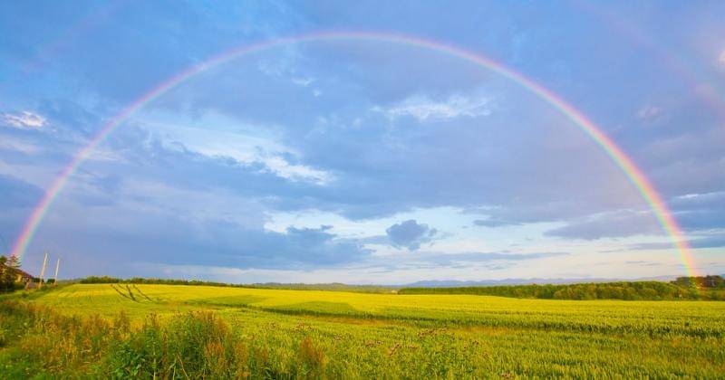 Unsplash/Stainless Images