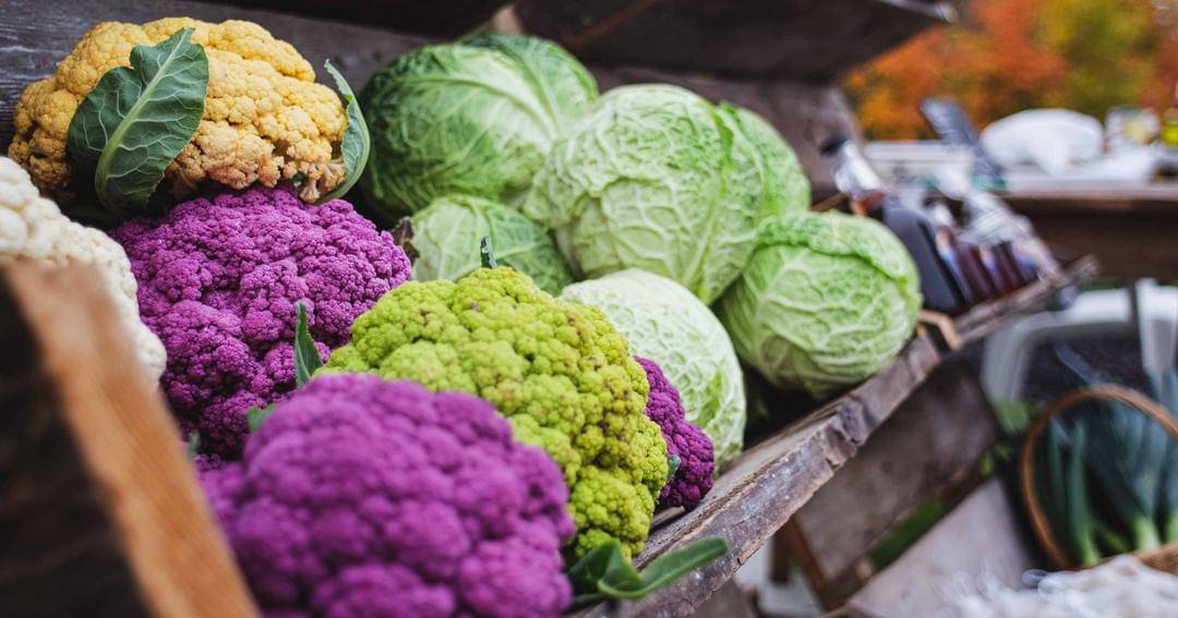 Unsplash/Christophe Dion