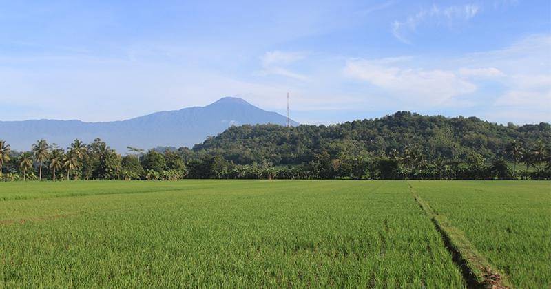 Unsplash/Mufid Majnun's