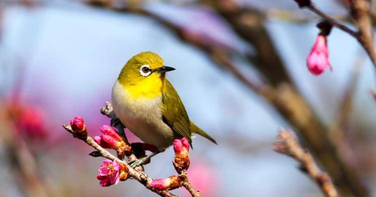 Unsplash/Boris Smokrovic