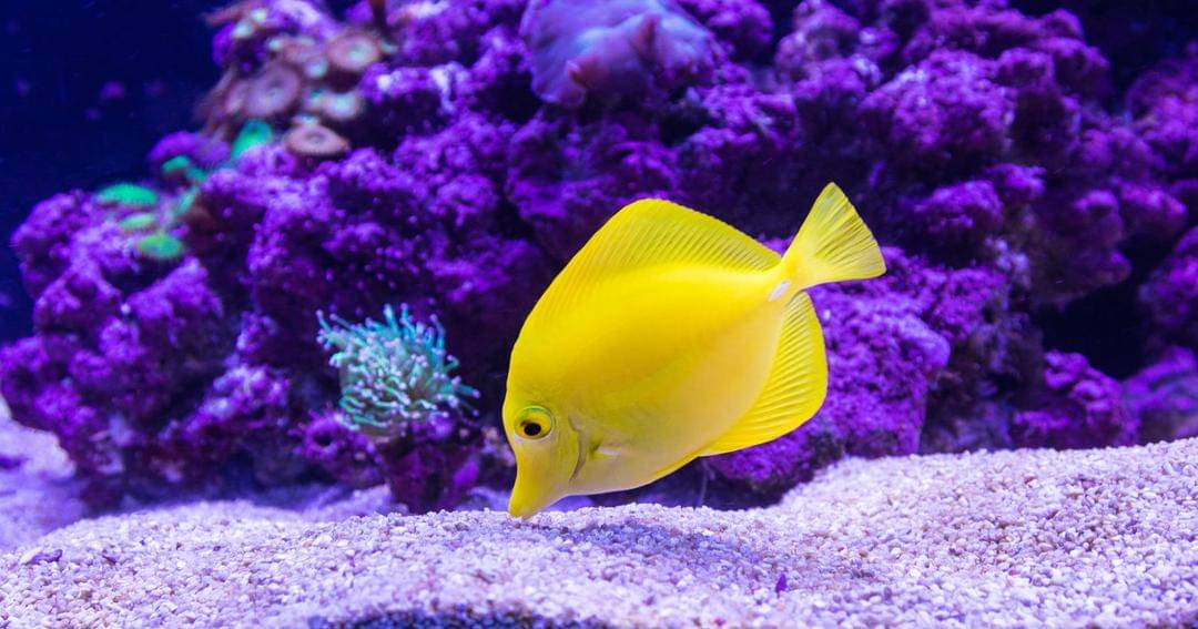 Unsplash/Craig Lovelidge