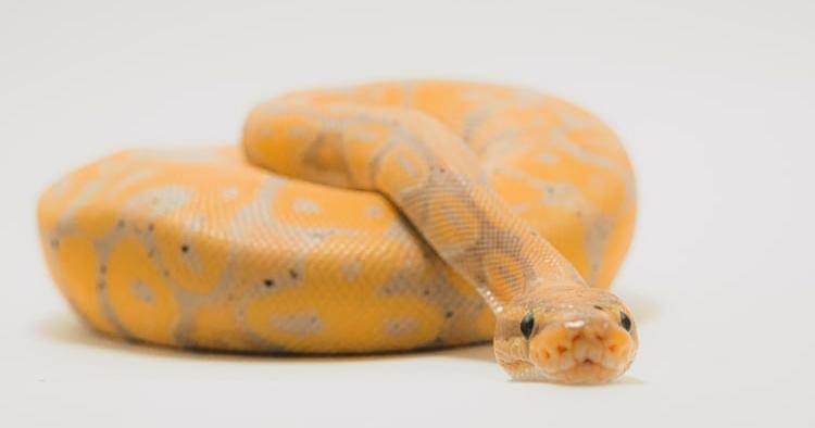 Unsplash/Timothy Dykes