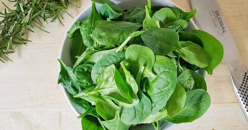 Pixabay/Showmeyourflowers