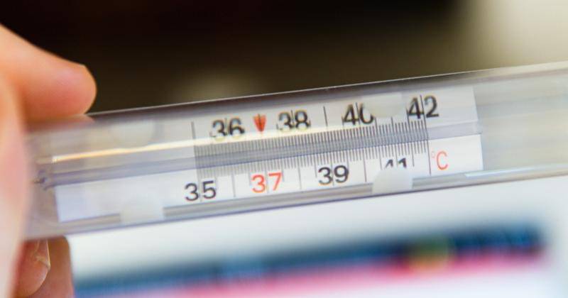 Unsplash/Mateo Fusco