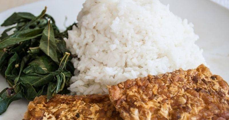 Instagram.com/viajesveganos