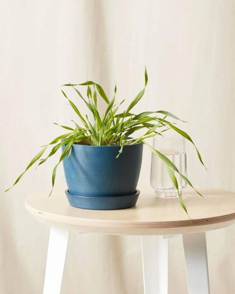 goodhousekeeping.com