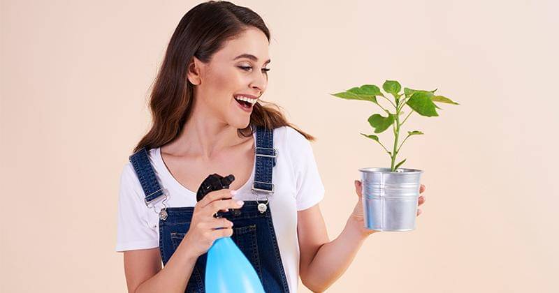 freepik/gpointstudio