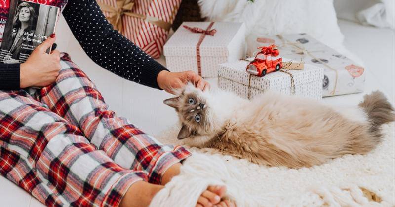 Pexels/Karolina Grabowska