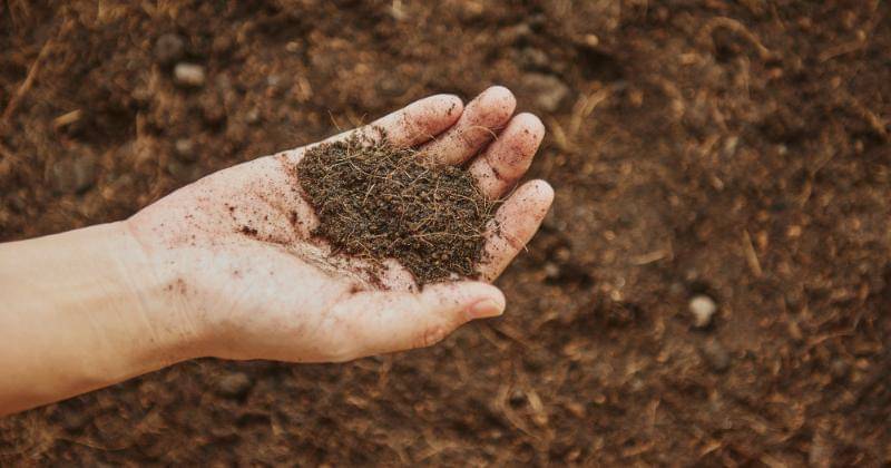 Freepik/Rawpixel.com