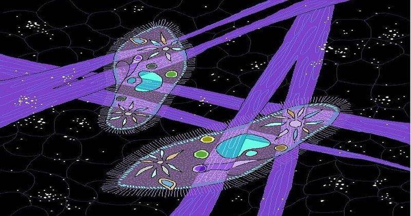 Instagram.com/paintlitt