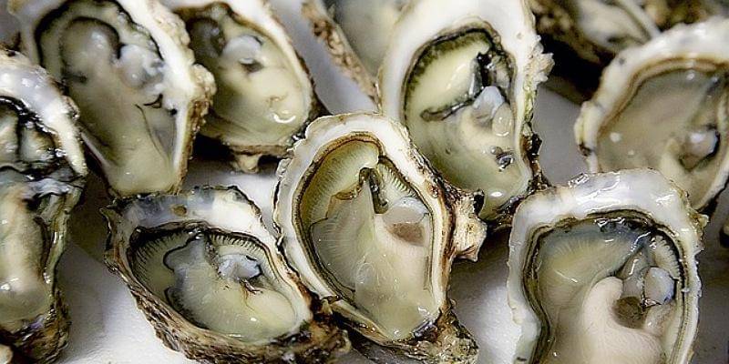 Pixabay/photo-graphe