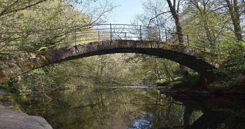 Pexels/Inthemomentprints