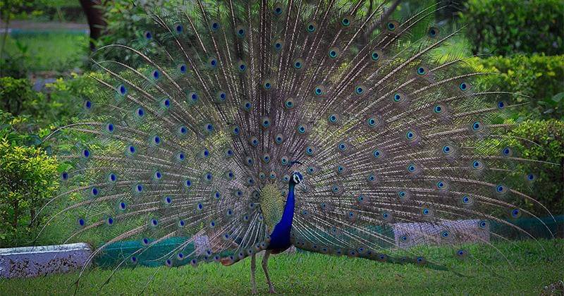 Unsplash/Vivek Doshi