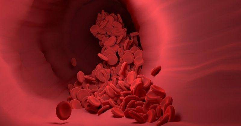 Pixabay/Narupon Promvichai