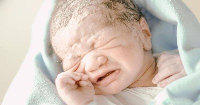 Instagram.com/chelzeaverhoeven