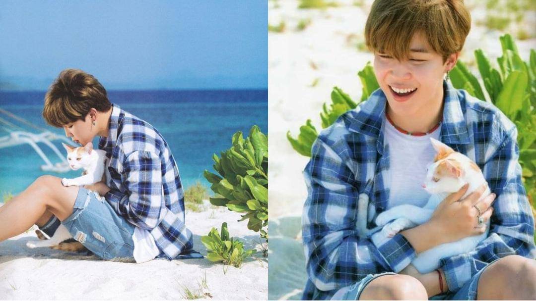 Twitter.com/atozv_scan