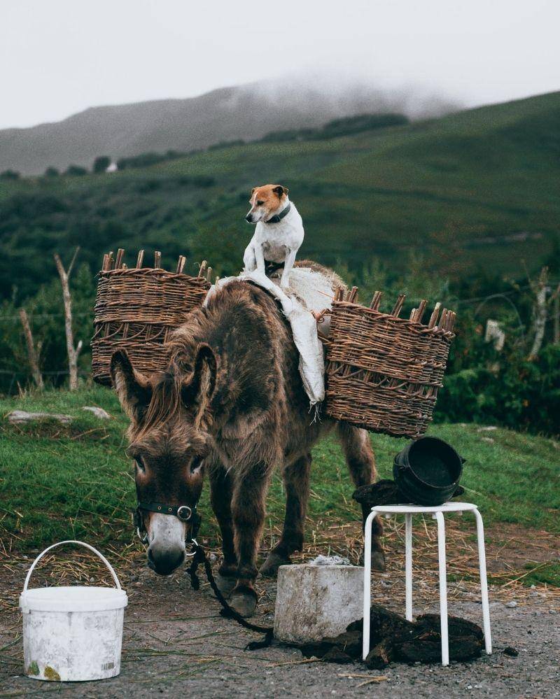 Pexels/Hrishikesh Deshkar