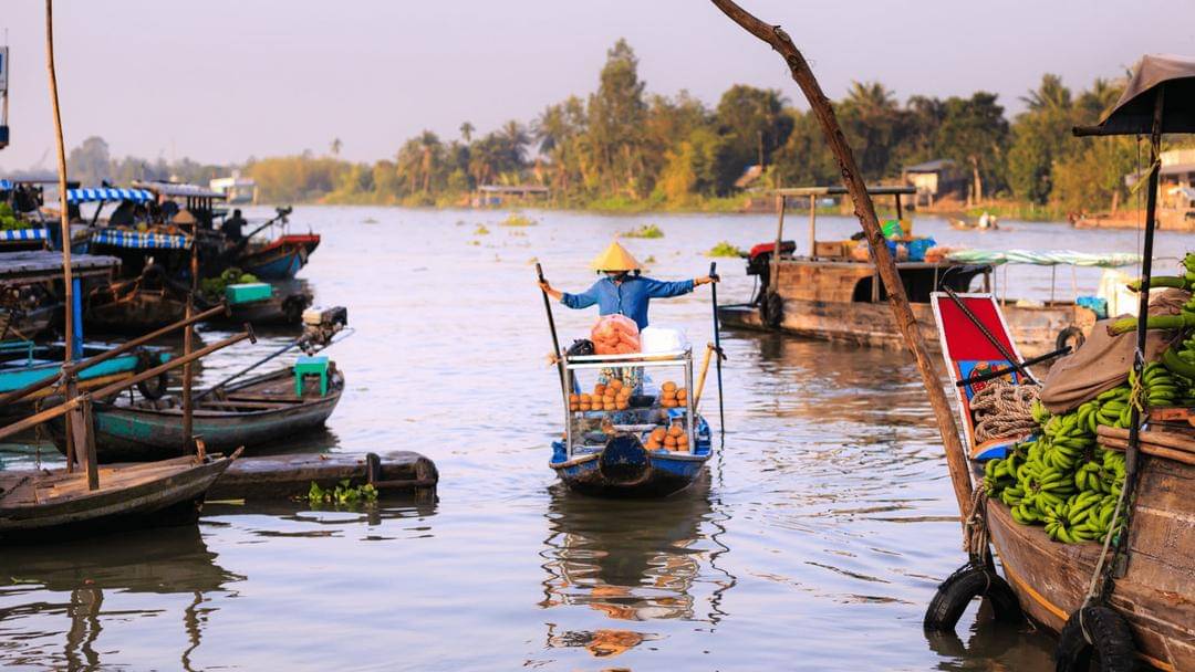 Pexels/quang-nguyen-vinh-222549