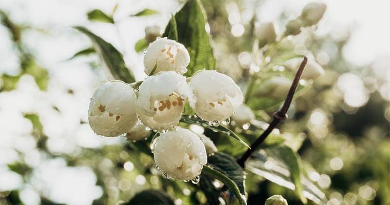 Unsplash/Anastasiia Malai 