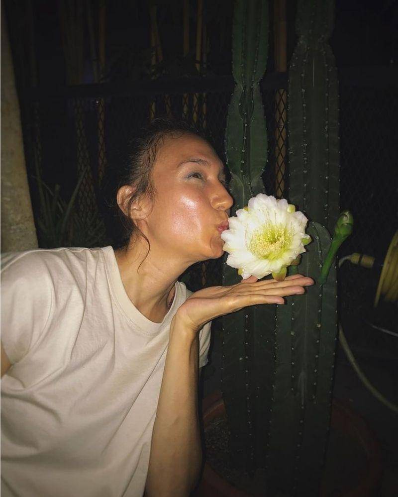 Instagram.com/nadinelist