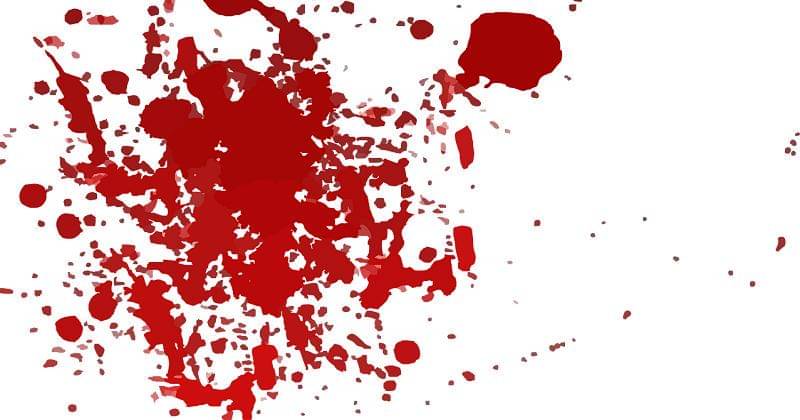 Pixabay/Clker-Free-Vector-Images