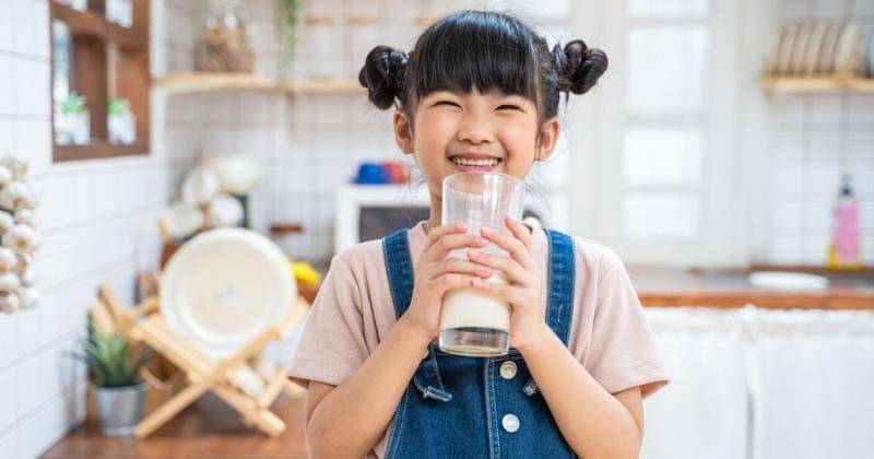 Shutterstock/Hananeko_Studio