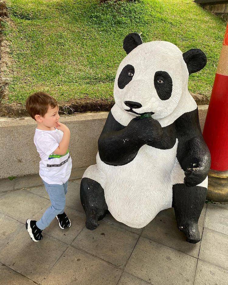 Instagram.com/jelley.sc