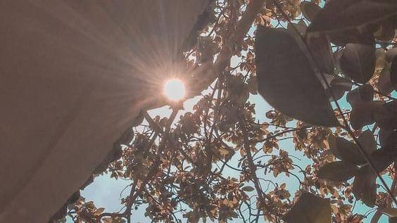 Pinterest/Diannearta