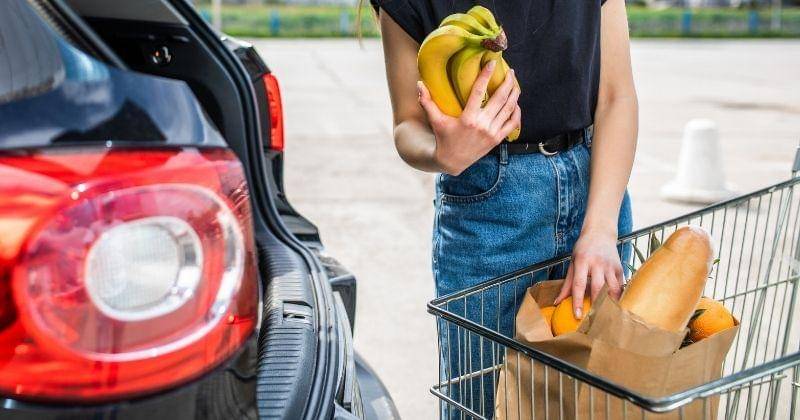 Freepik/diana-grytsku