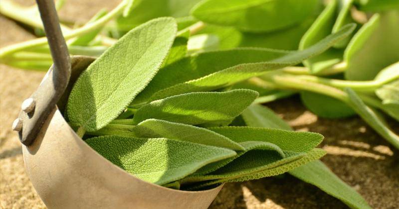 Pixabay/congerdesign