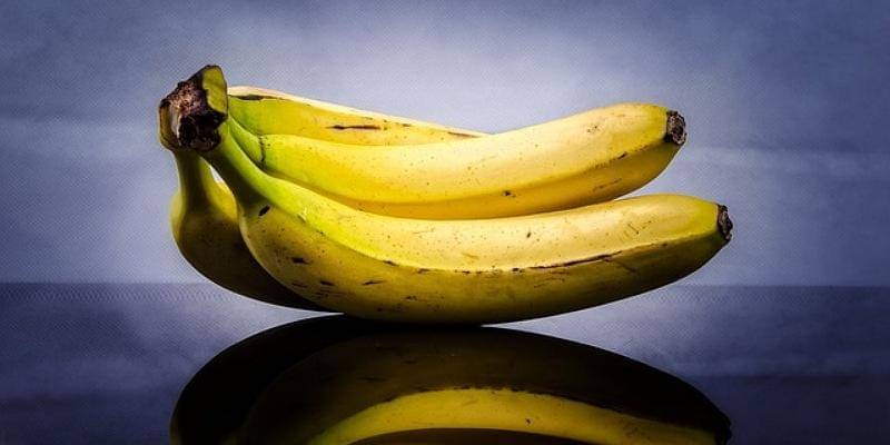 Pixabay/PublicDomainPictures