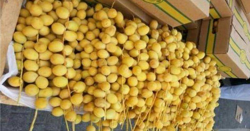 8 Manfaat Kurma Muda untuk Promil dan Cara Mengonsumsinya