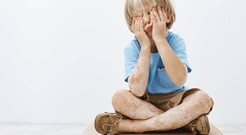 Freepik/cookie_studio