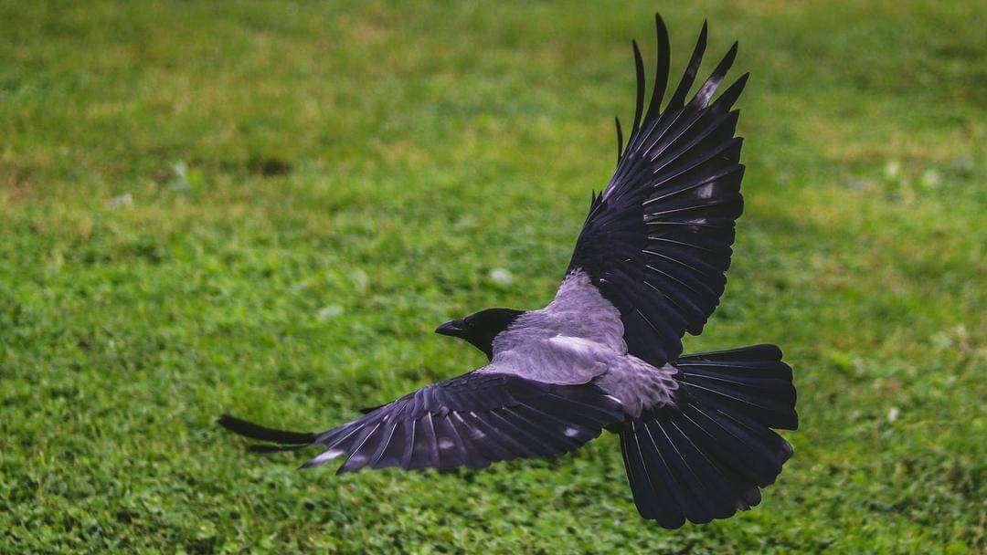 Pexels/joseph-yu-177551