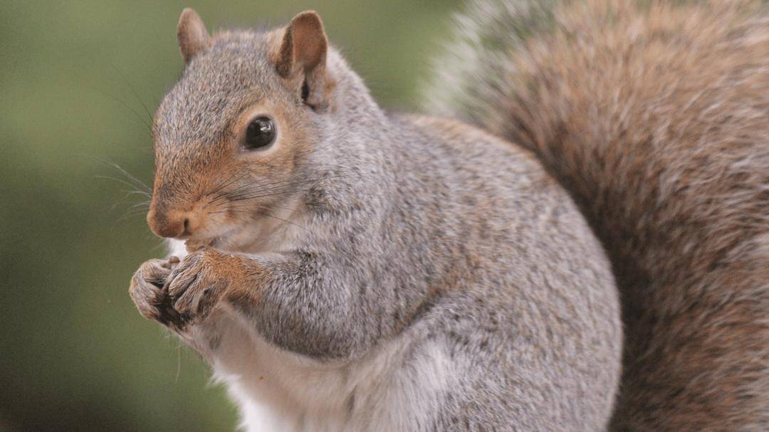 Pexels/batuhanbilginer