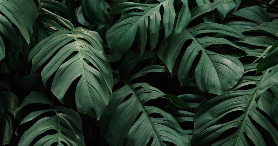 Freepik/rawpixel.com