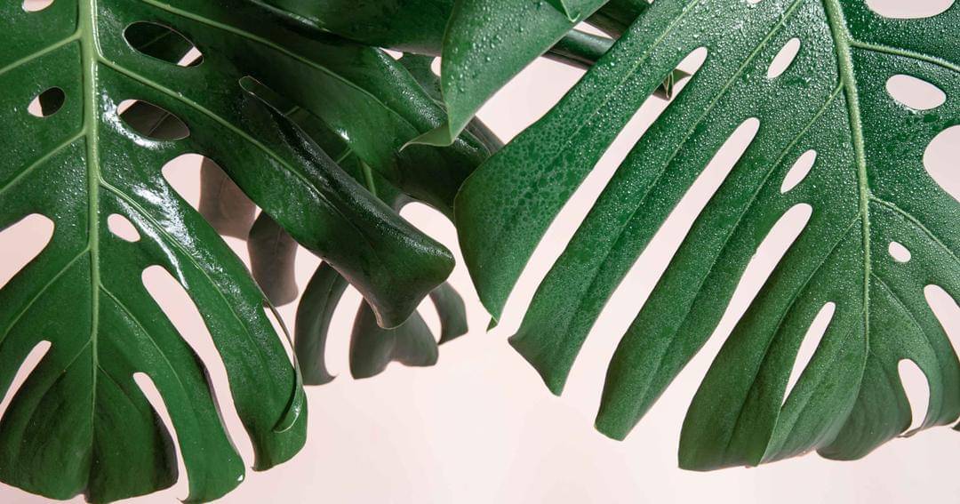 Freepik/pvproductions