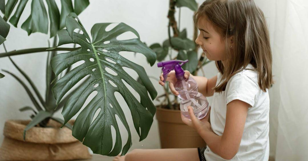 Freepik/pvproductions