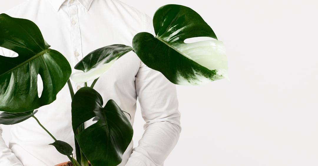 Freepik/rawpixel.com