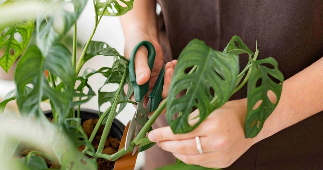 Freepik/rawpixel.com