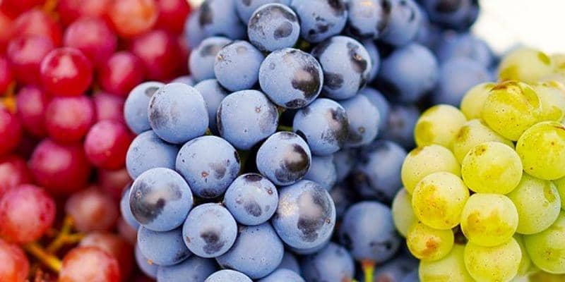 Pixabay/matthiasboeckel