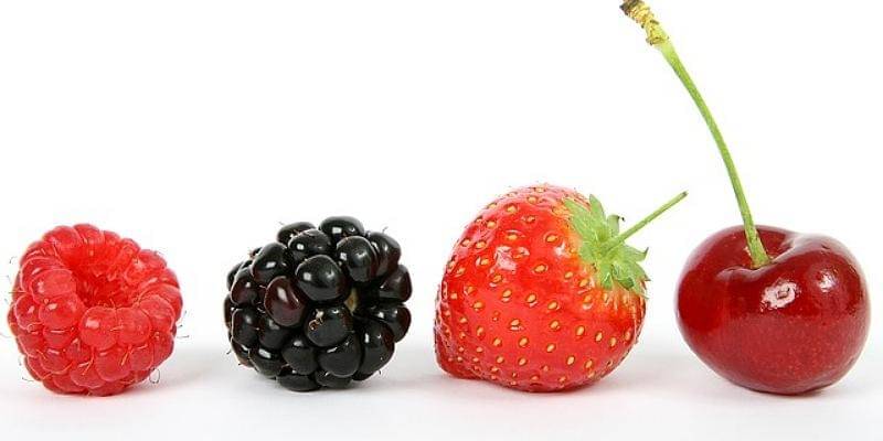 Pixabay/Shutterbug75