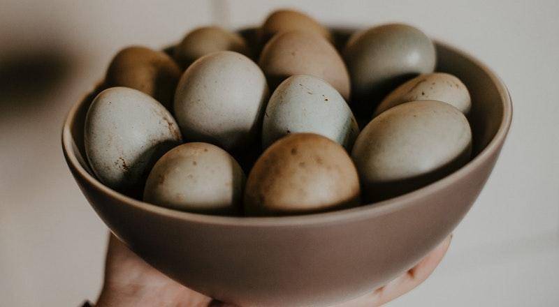 Pexels/Flora Westbrook