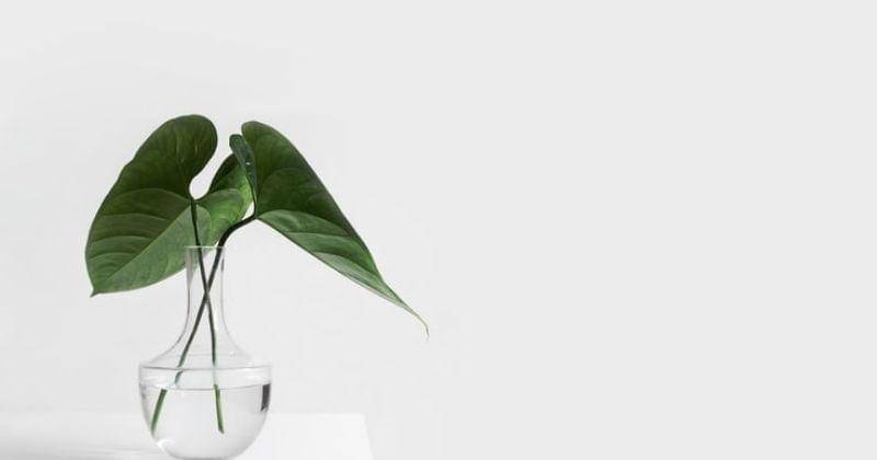 Unsplash/Sarahdorweiler