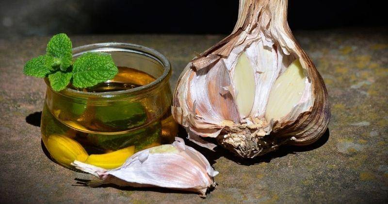 Pixabay/congerdesign