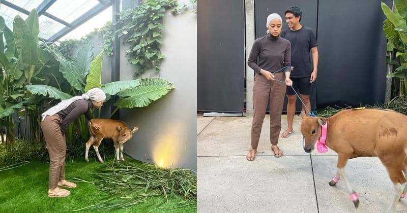 Instagram.com/dittopercussion