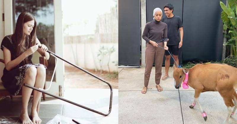 7 Artis yang Berikan Kado Unik ke Pasangan, Ada yang Kasih Anak Sapi